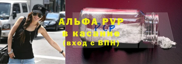дмт Богданович