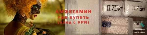 дмт Богданович