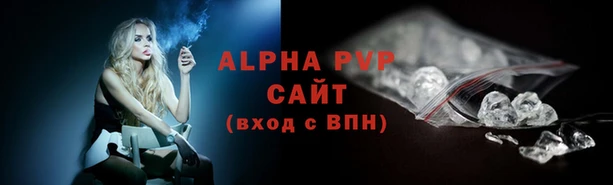 дмт Богданович